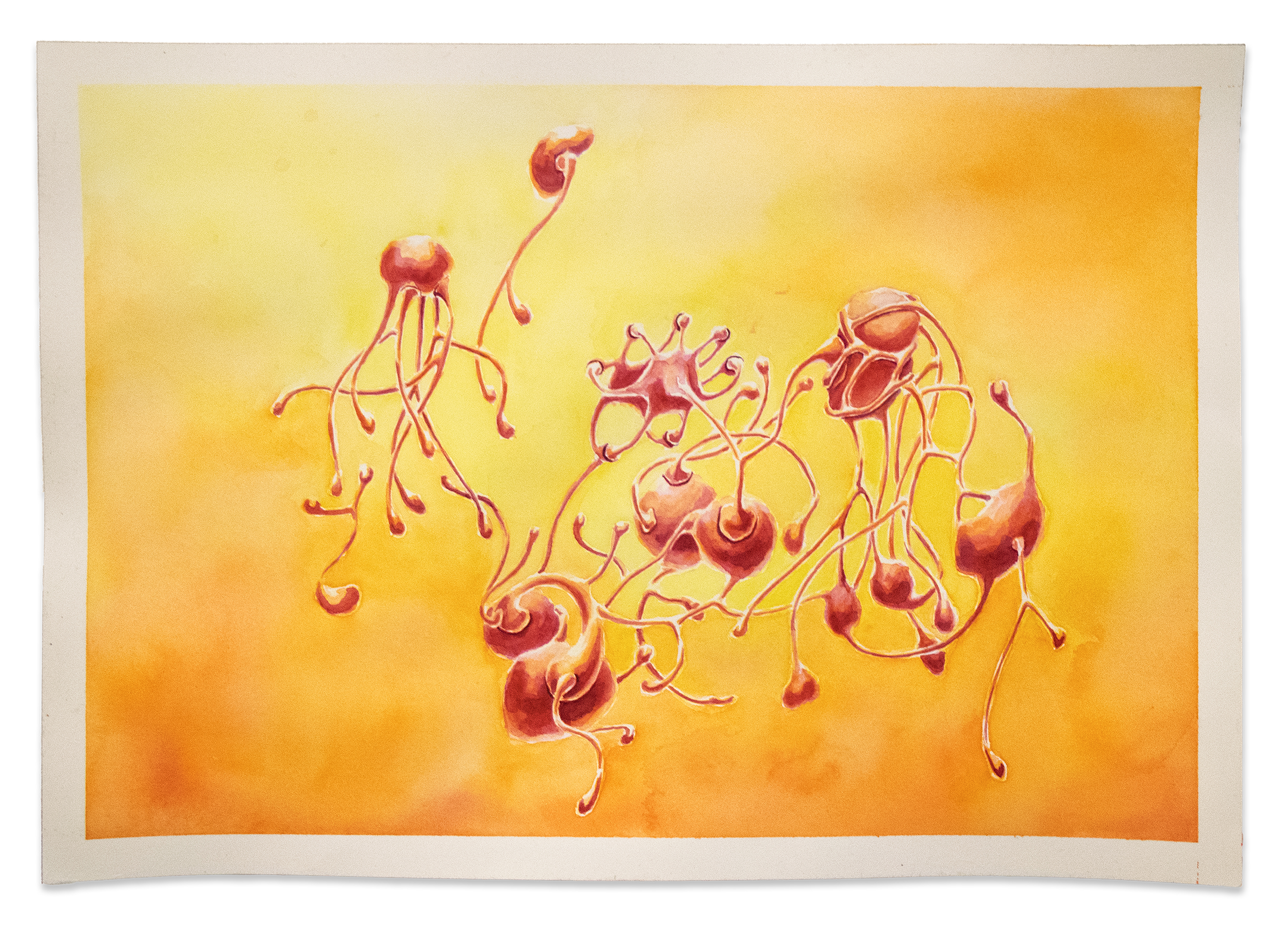 Watercolour artwork on paper in dark, whites, teals and yellows. Reminiscent of floating dream forms in space or the ocean.